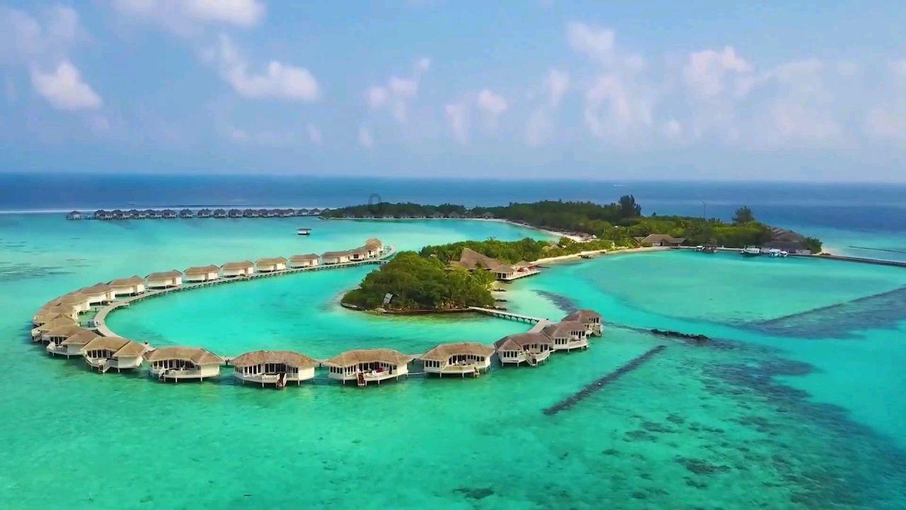 我有头发怎么读英语变成否定句怎么读？